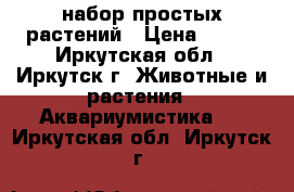 набор простых растений › Цена ­ 100 - Иркутская обл., Иркутск г. Животные и растения » Аквариумистика   . Иркутская обл.,Иркутск г.